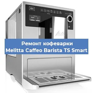 Замена прокладок на кофемашине Melitta Caffeo Barista TS Smart в Ижевске